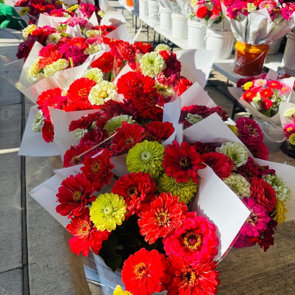 Meet your Posher, Susan - Picture 1 of 1